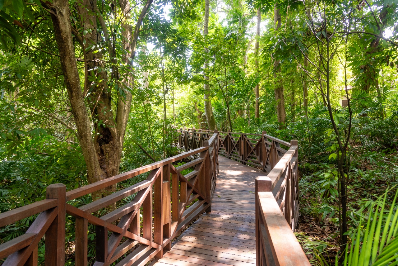 Villa Samadhi Singapore Walkway 